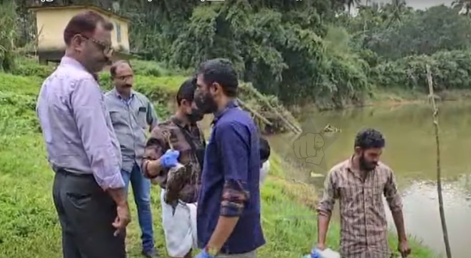 പനമരത്ത് ദേശാടനപക്ഷികൾ കൂട്ടത്തോടെ ചത്തുവീഴുന്നു; കീടനാശിനിയാണ് കാരണമെന്ന ആരോപണവുമായി നാട്ടുകാർ, ഭോപ്പാലിലെ ഫലത്തിനായി കാത്തിരിപ്പ്