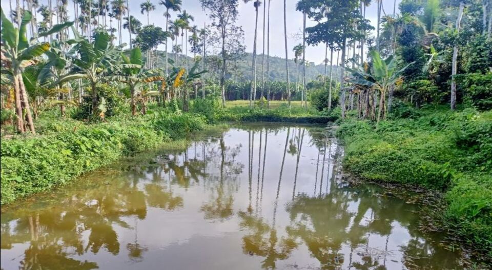 മാനന്തവാടിയിൽ പുഴയിൽ വീണ യുവാവിന്റെ മൃതദേഹം കണ്ടെത്തി