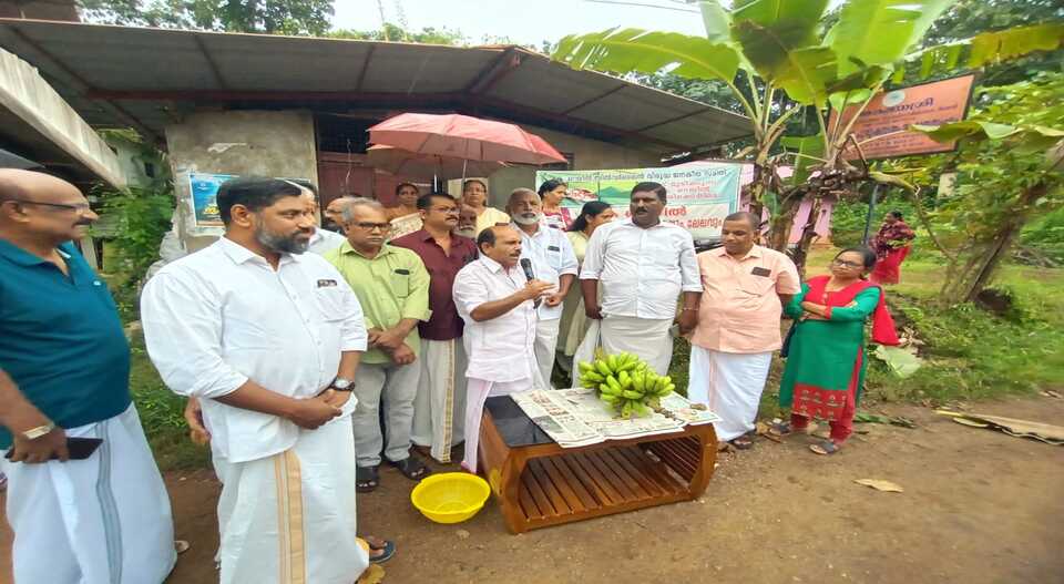 കെ റെയിൽ സമര വാഴക്ക് 28000 ലേല തുക