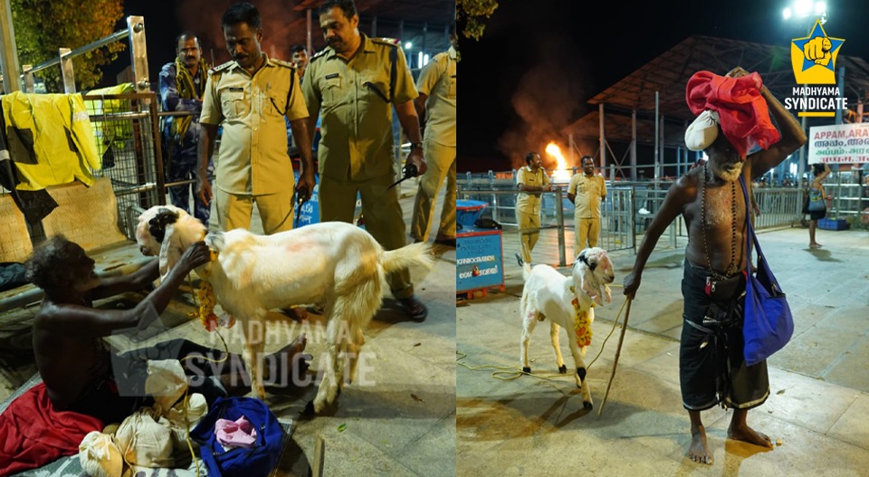 കാണിക്കയായി ജമ്‌നാപ്യാരി ആടും; ശബരിമലയില്‍ കൗതുകക്കാഴ്ചയായി വേലായി സ്വാമി