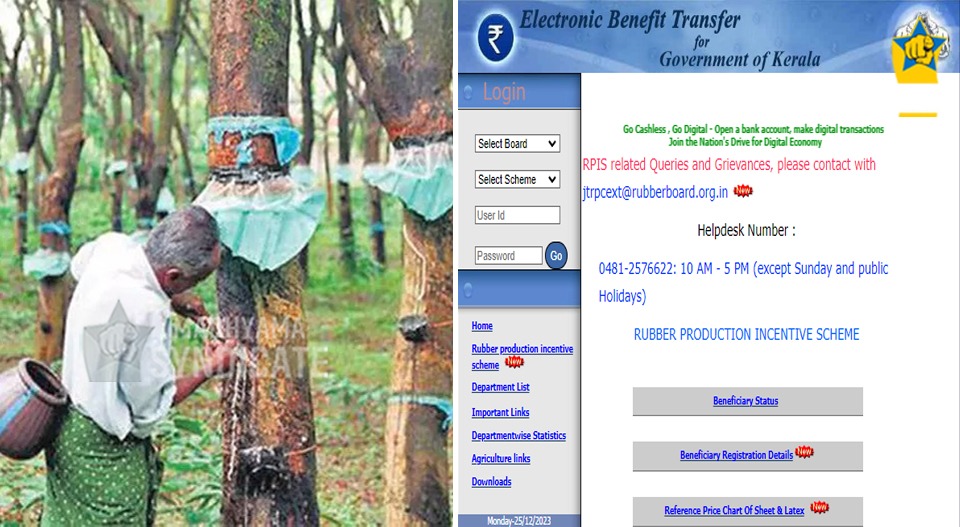 നവകേരളസദസിന് പിന്നാലെ റബര്‍ കര്‍ഷകര്‍ക്ക് സര്‍ക്കാര്‍ പ്രഹരം; സബ്​സിഡിക്കുള്ള വെബ്സൈറ്റ് പൂട്ടി; എന്‍ഐസി നടപടി കോടികളുടെ കുടിശിക നല്‍കാത്തതിനെ തുടര്‍ന്ന്