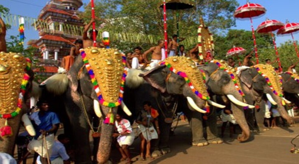 ആനകളില്ലാത്ത ഉത്സവ കാലത്തിലേക്ക് കേരളം; കഴിഞ്ഞ വര്‍ഷം മാത്രം ചരിഞ്ഞത് 20 നാട്ടാനകള്‍