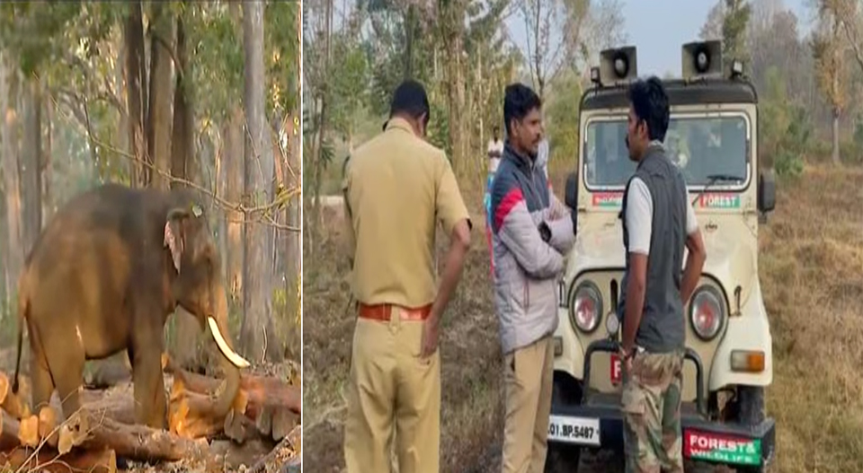 കുങ്കിയാനകളെ കാണുമ്പോള്‍ കാട്ടാന സ്ഥലം മാറുന്നു; തുടര്‍ച്ചയായി മൂന്നാം ദിവസവും മയക്കുവെടി വയ്ക്കാനുള്ള ദൗത്യം വിഫലം