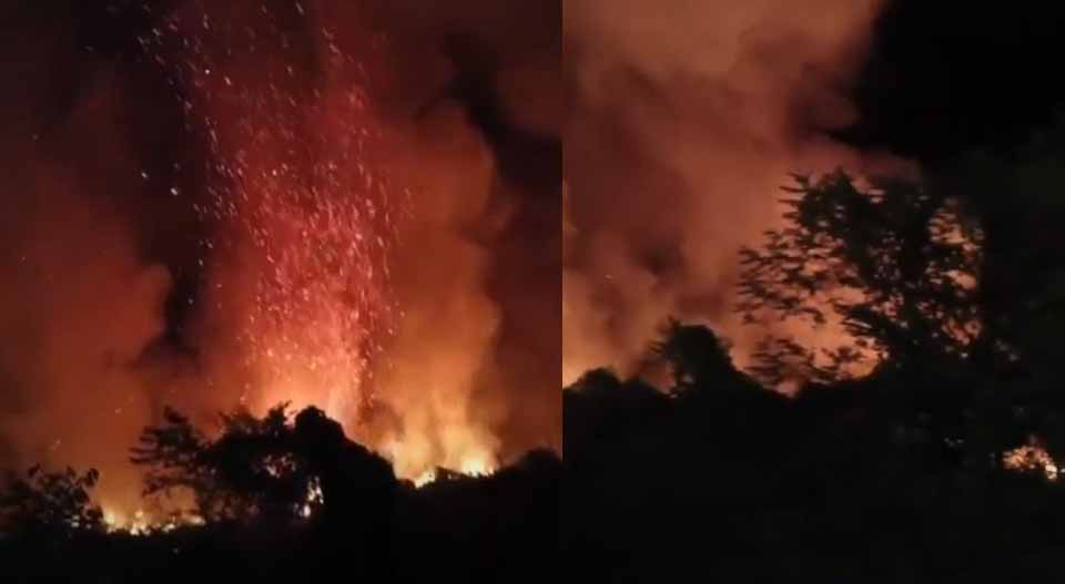 കക്കയത്ത് ഇന്നലെയും അടിക്കാടിന് തീപിടിച്ചു;  മനപൂര്‍വമെന്ന്   വനംവകുപ്പ്; തീയണക്കാന്‍ ശ്രമം തുടരുന്നു