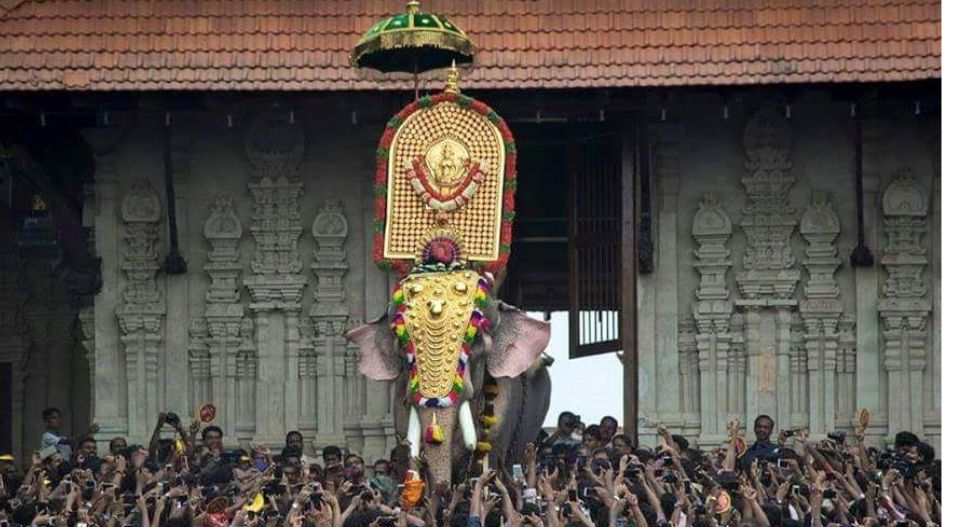 നെയ്തലക്കാവ് ഭഗവതി തെക്കേ ഗോപുരനട തള്ളിത്തുറന്നു; ഇനിയുള്ള 36 മണിക്കൂര്‍ മേള, വര്‍ണ്ണ വിസ്മയം; പൂരപ്രേമികള്‍ തൃശൂരിലേക്ക്