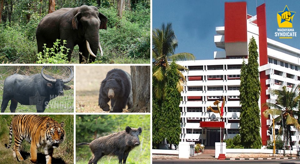 കാടിറങ്ങുന്ന വന്യജീവികളെ പേടിച്ച് ഇടത് സ്ഥാനാർത്ഥികൾ; തുടരുന്ന ആക്രമണങ്ങൾ തിരിച്ചടിക്കുമെന്ന പേടിയിൽ മുന്നണിയും; എല്ലാ കേസിലും ധനസഹായം ഉടനടി വിതരണം ചെയ്യാൻ ശ്രമം