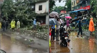 ഓടുന്ന ബസിന് മുകളിലേക്ക് മരം വീണു; ഒഴിവായത് വലിയ അപകടം