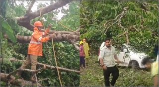 പാലക്കാടും മലപ്പുറത്തും ശക്തമായ കാറ്റും മഴയും; വ്യാപക നാശനഷ്ടങ്ങള്‍