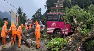 ഓടുന്ന ബസിന് മുകളിലേക്ക് മരം കടപുഴകി വീണു; യാത്രക്കാര്‍ രക്ഷപ്പെട്ടത് തലനാരിഴക്ക്