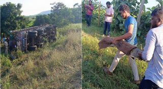 വന്യമൃഗങ്ങളെ കയറ്റിയ ട്രക്ക് മറിഞ്ഞ് മുതലകൾ അടക്കം രക്ഷപെട്ടു… ഒഴിവായത് വൻ ദുരന്തം