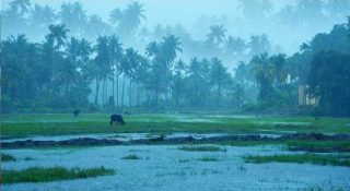 കേരളത്തിൽ മഴ ശക്തമാകും; ശക്തമായ കാറ്റിനും ഇടിമിന്നലിനും സാധ്യത